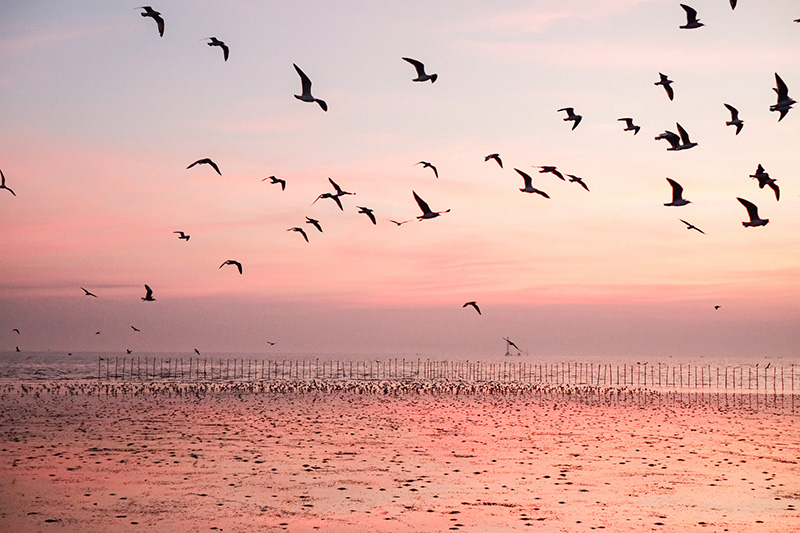 สถานตากอากาศบางปู