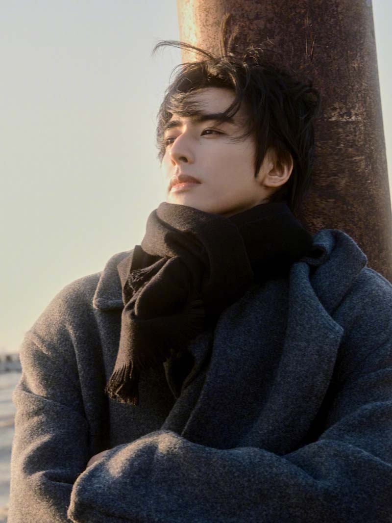 ซ่งเหว่ยหลง Song Wei Long ผลงาน