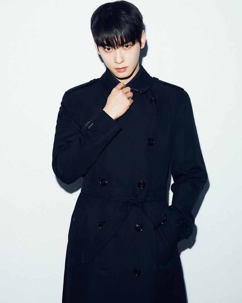 cha eun woo ชาอึนอู