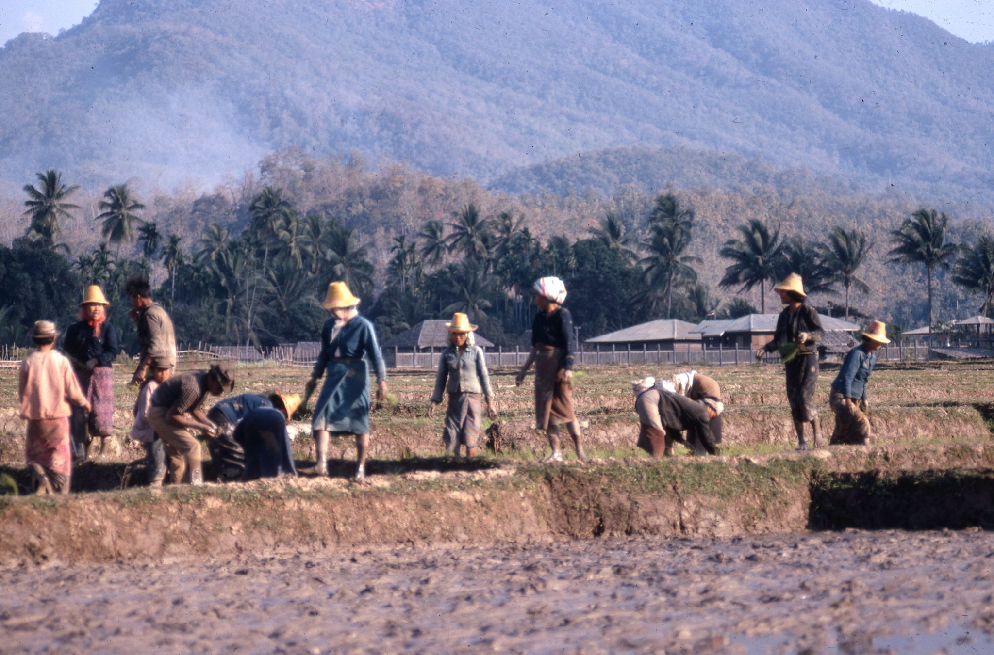 แม่ฮ่องสอน