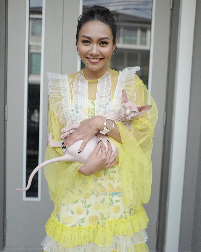 ดาราหญิงชอบเลี้ยงแมว