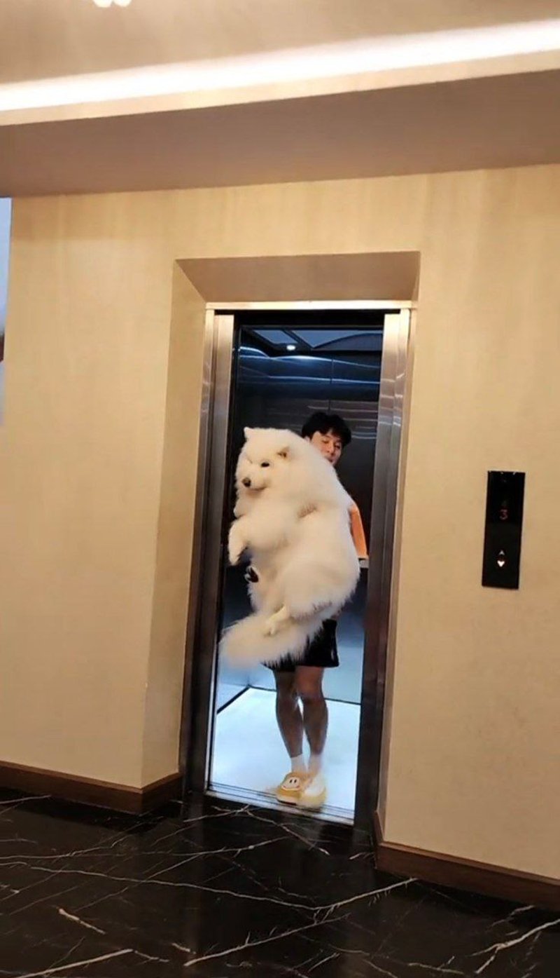 คนอึ้ง ! บ้านบิ๊ก อชิรพล แฟน จ๊ะ นงผณี มีลิฟต์ แต่คอมเมนต์นี้พาอึ้งกว่า ?