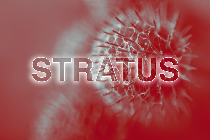 โควิดสายพันธุ์ใหม่