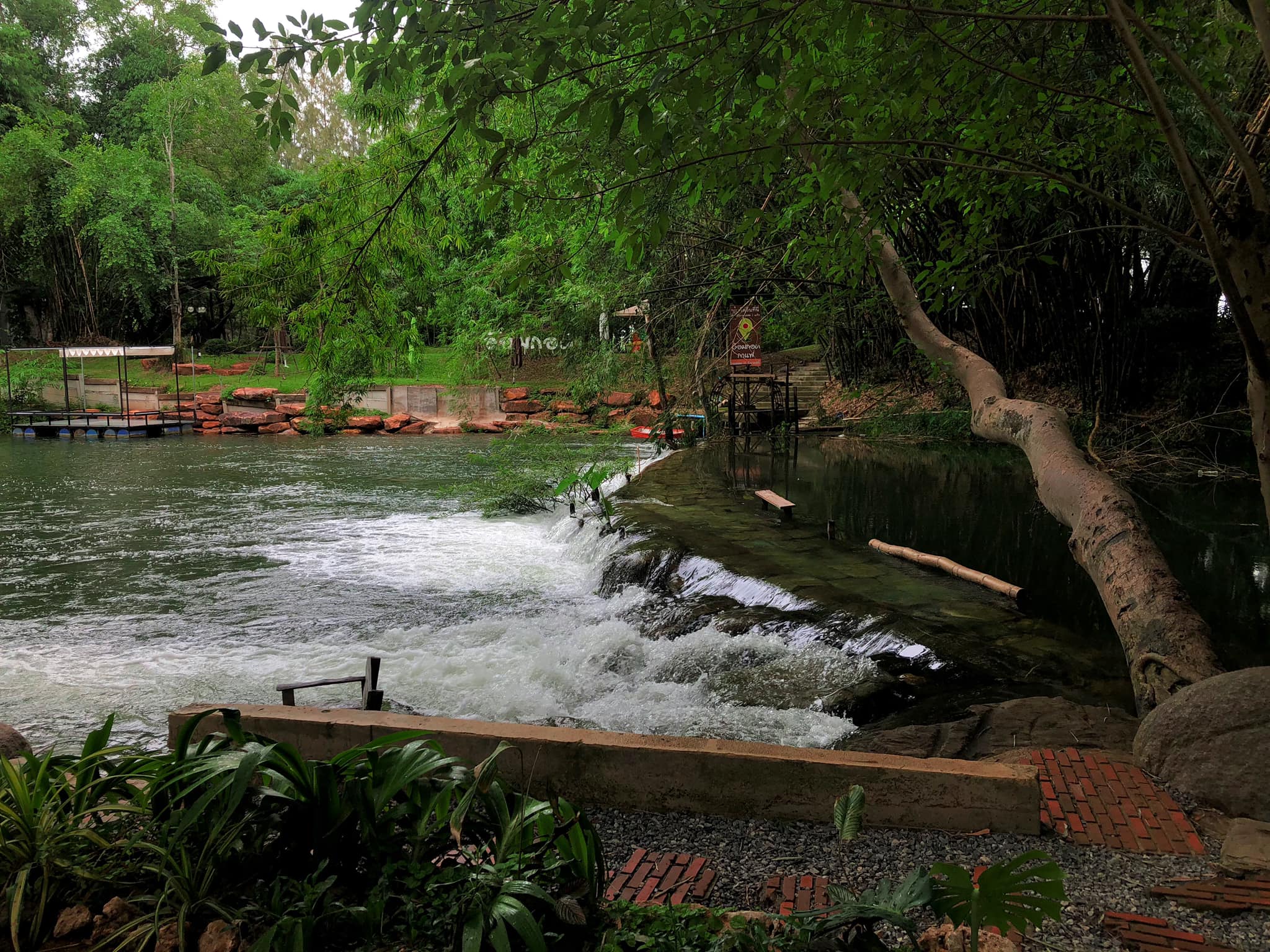 คาเฟ่ในป่า