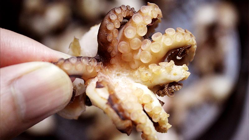 ปลาหมึกทอดกรอบ