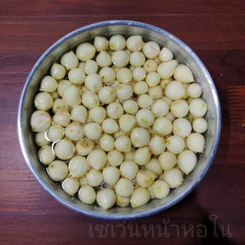 กระเทียมโทนดองน้ำผึ้ง สูตรกระเทียมโทนดอง สูตรอาหาร