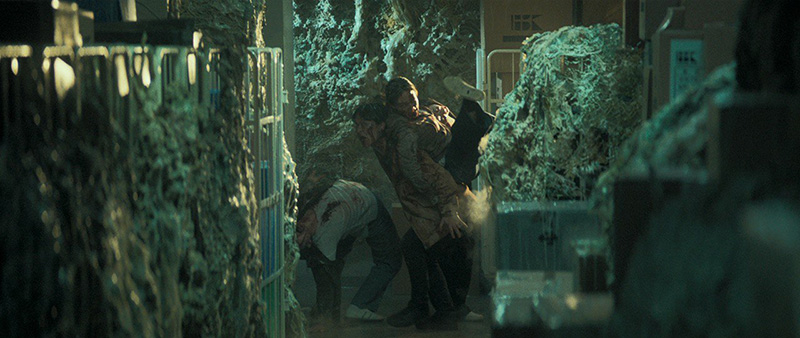 COLONY หนังซอมบี้เกาหลี หนังซอมบี้ หนังเกาหลี หนังใหม่ 2026 ภาพตัวอย่าง