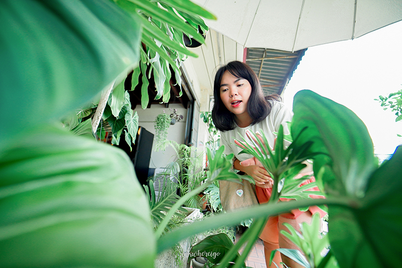 Granniebasket Petite คาเฟ่นครปฐม