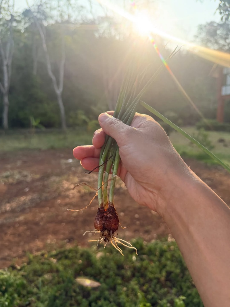 หมอโอ๊ค สมิทธิ์