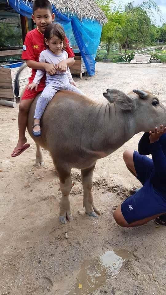 น้ำ รพีภัทร