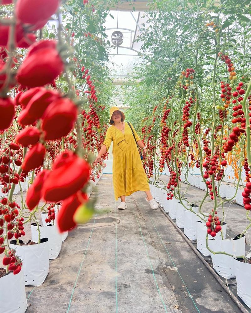 หมู พิมพ์ผกา