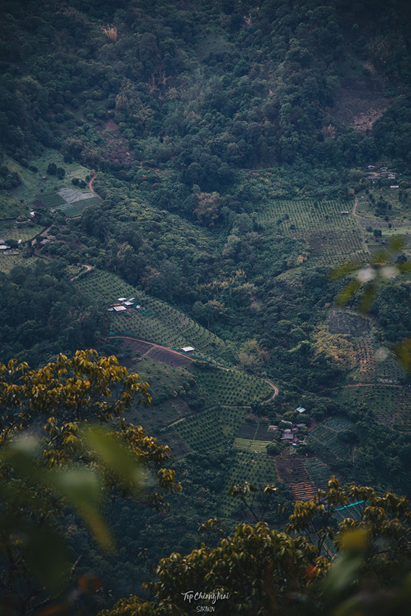 ดอยหัวหมู