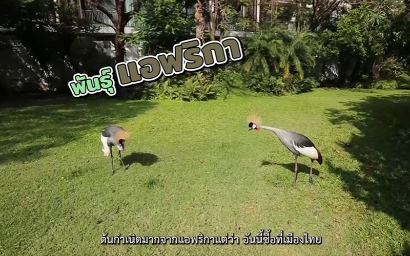 บ้าน กรณ์ ณรงค์เดช - ริต้า ศรีริต้า