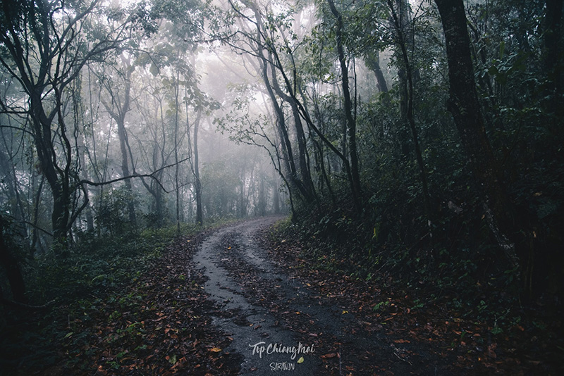 ดอยหัวหมู