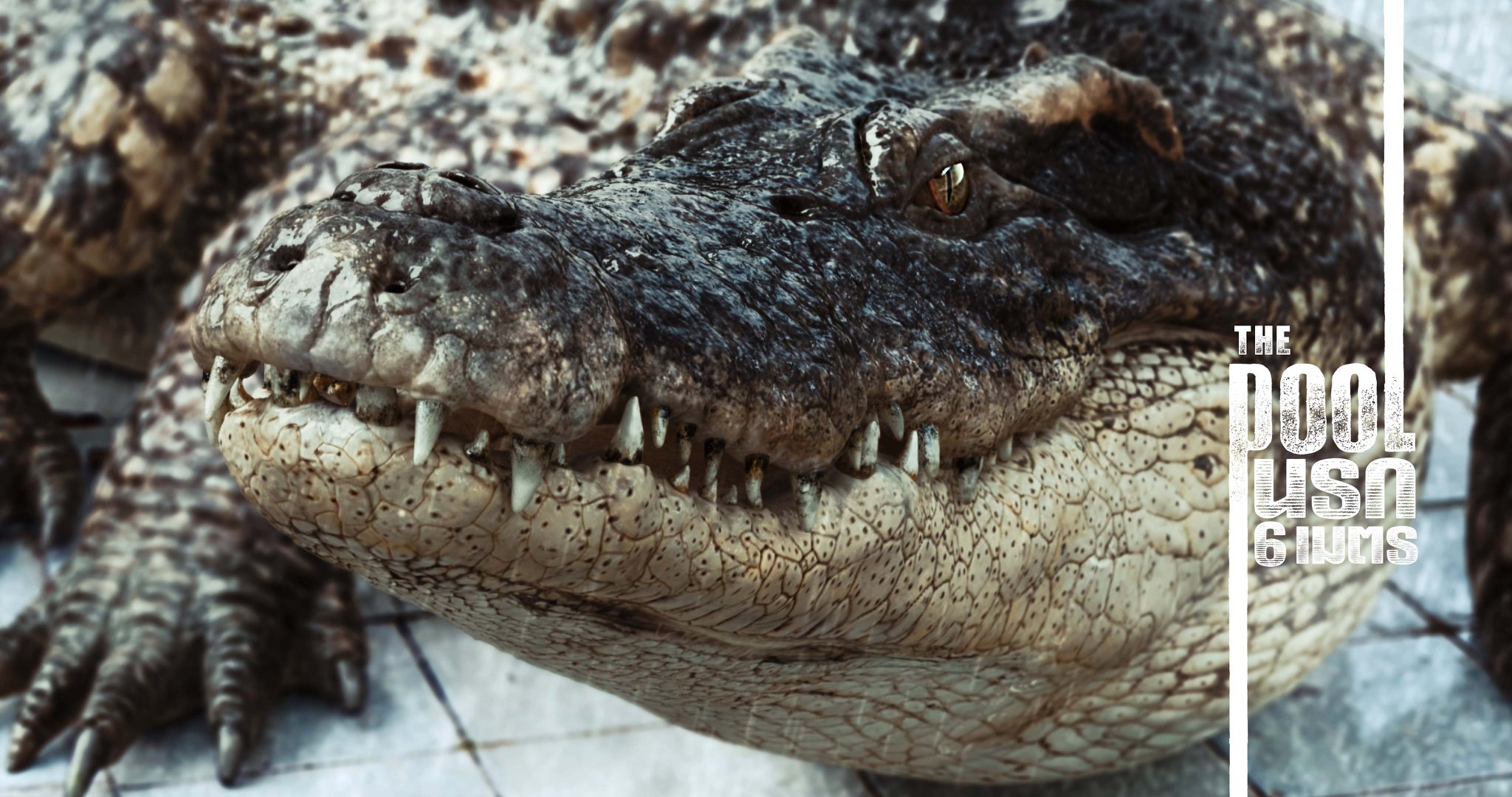 หนังจระเข้ยักษ์