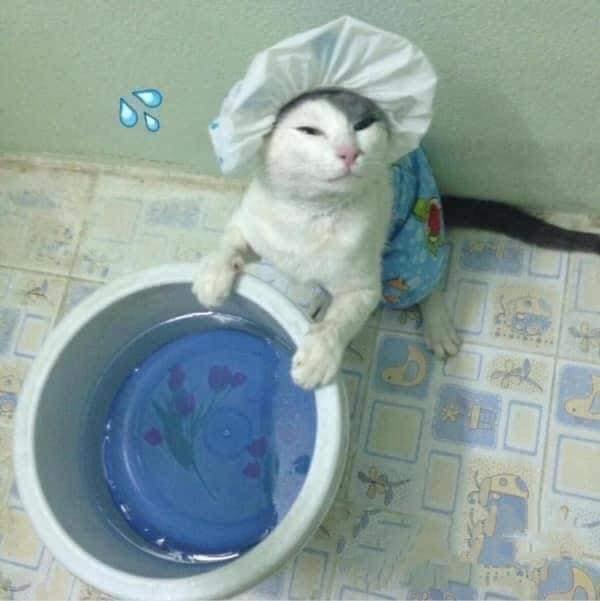 ทำงานบ้าน