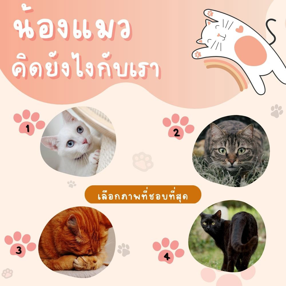 ดูดวง 2566