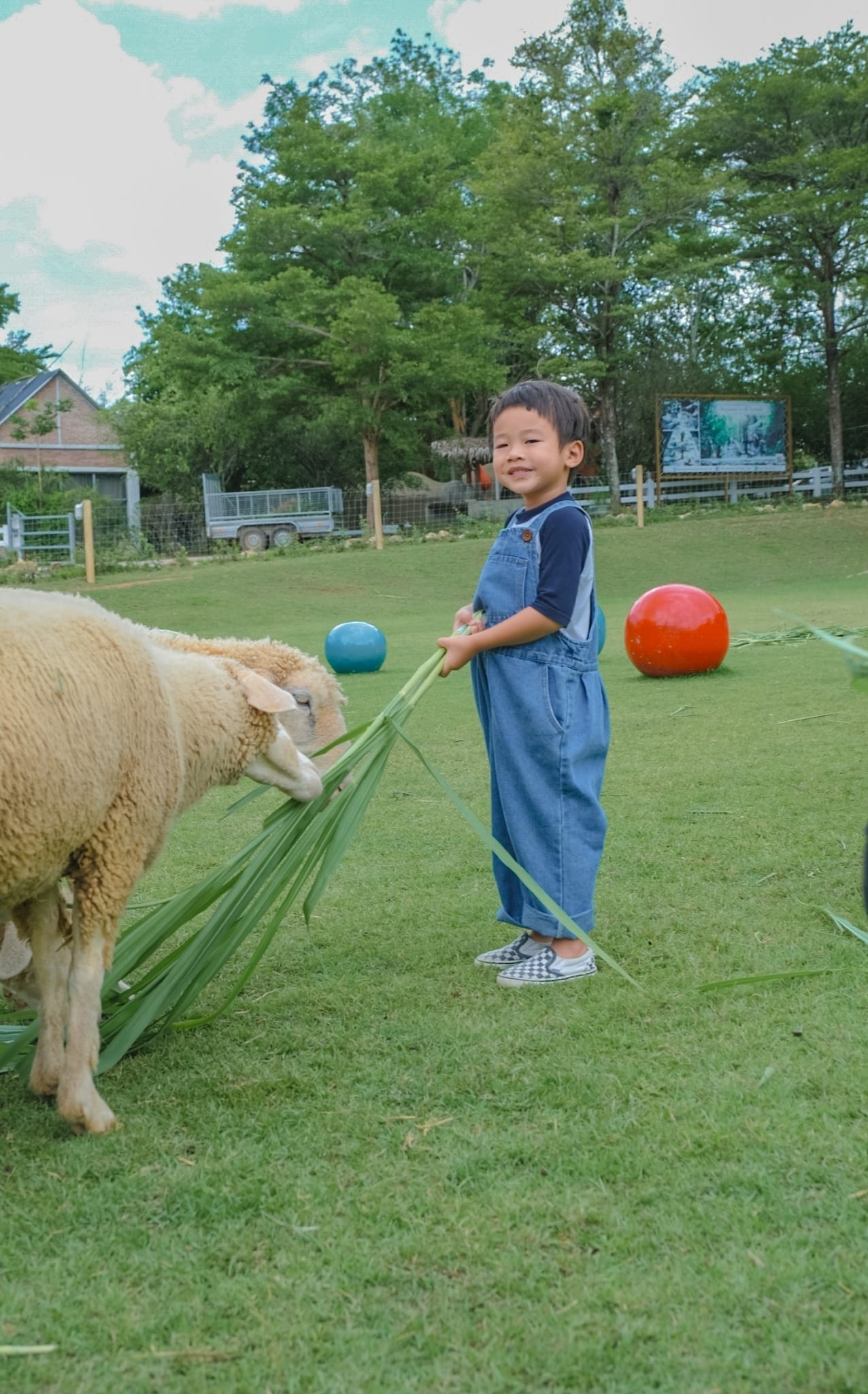 The Scenery Vintage Farm