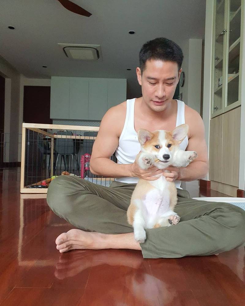 ป้อง ณวัฒน์