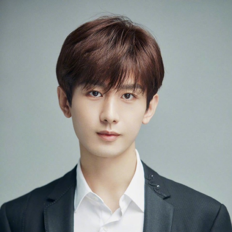 เฉิงอี้ ประวัติ Cheng Yi