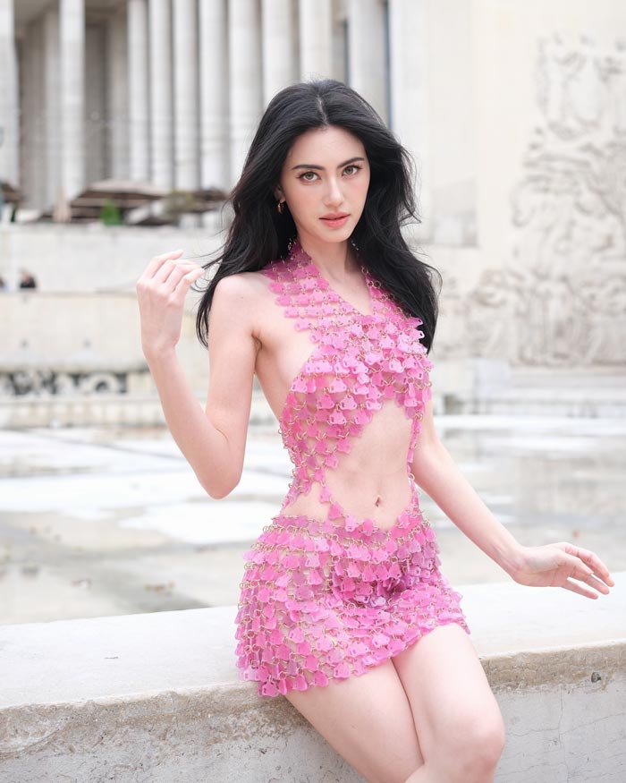 ใหม่ ดาวิกา