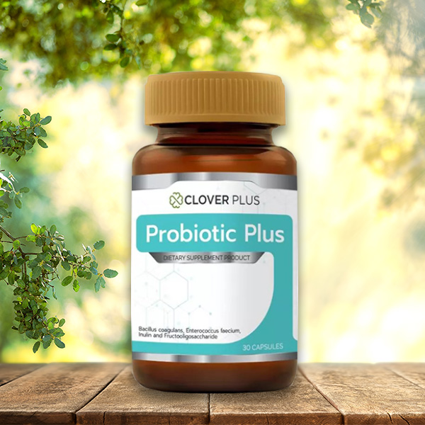โพรไบโอติก Clover Plus Probiotic Plus