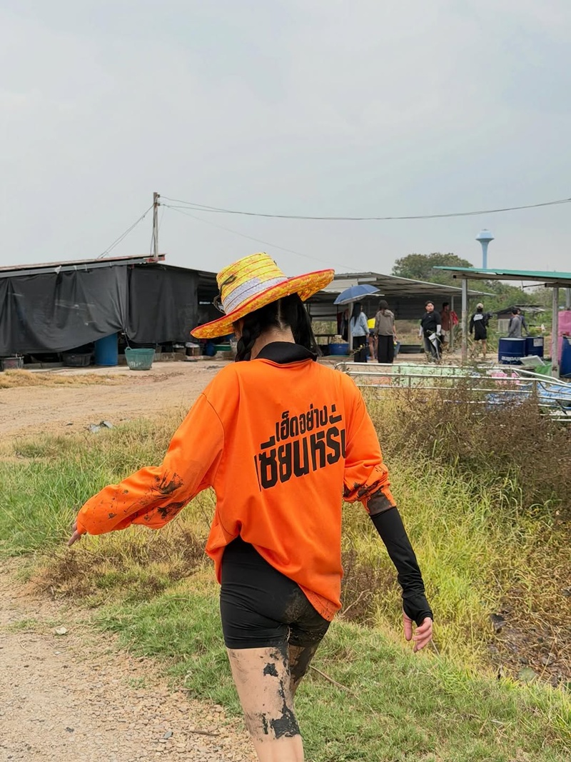 เจนิส เจณิสตา