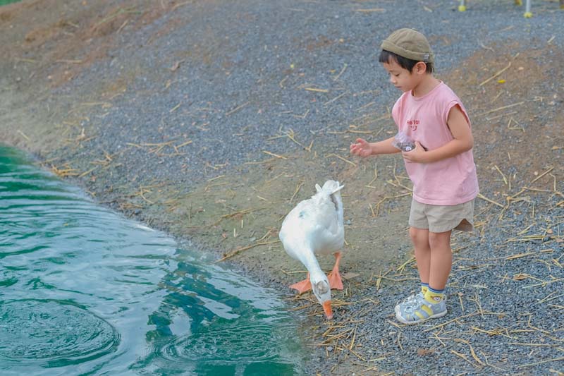 A Cup of Zoo Café คาเฟ่
