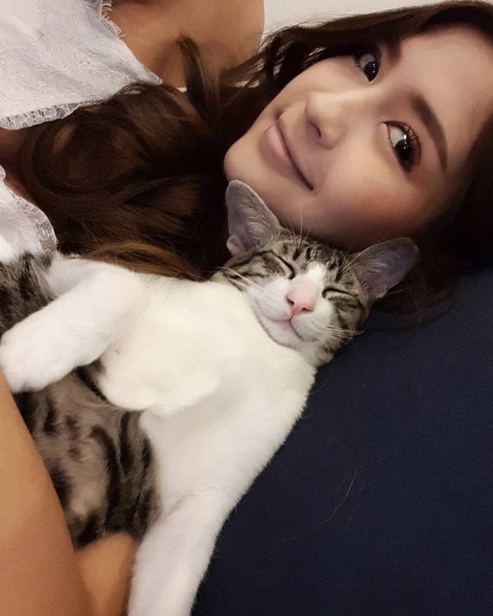 ดาราหญิงชอบเลี้ยงแมว