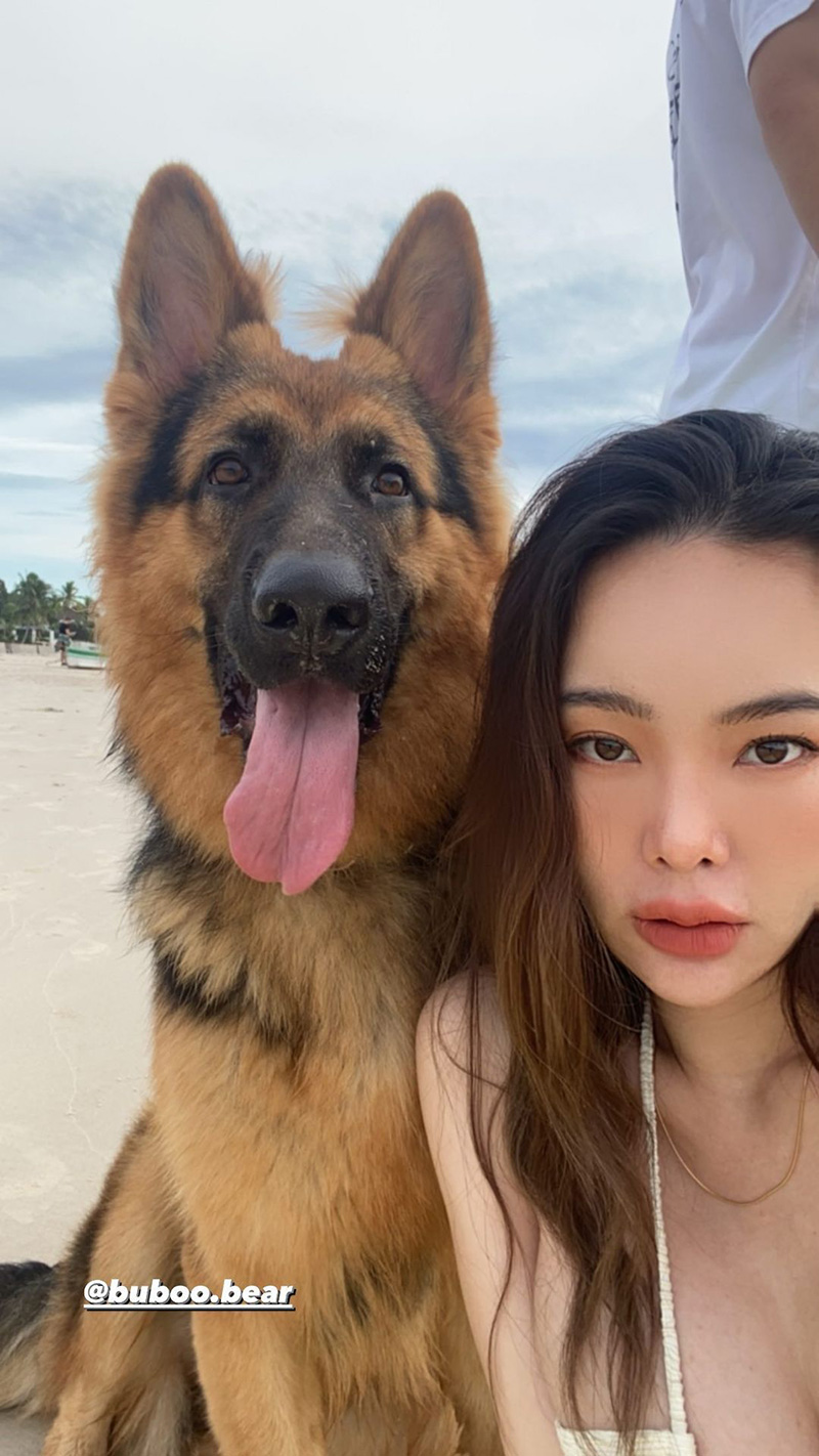 ปุ้มปุ้ย พรรณทิพา