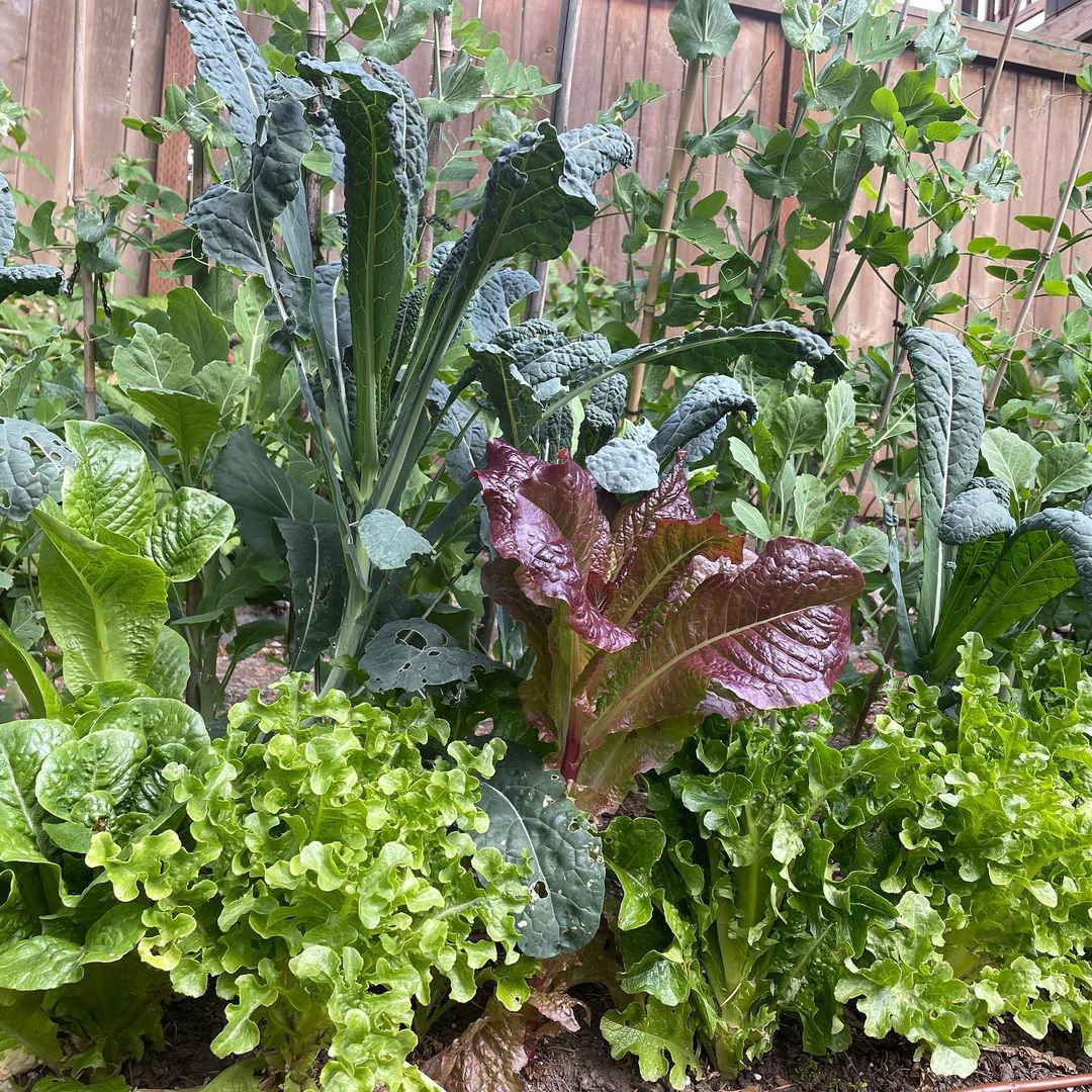 อุ้ม สิริยากร