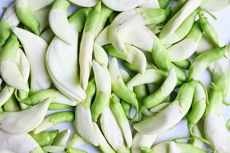 เมนูดอกแค