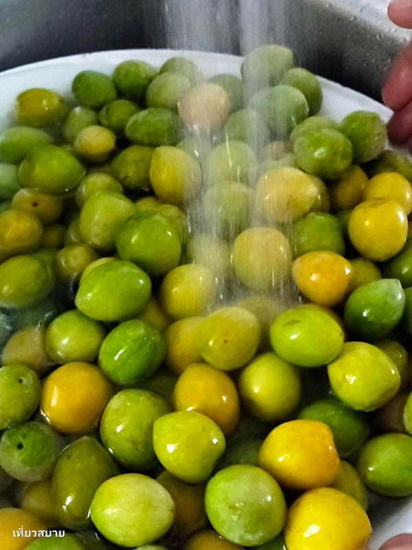 ไซรัปบ๊วย วิธีทำ Ume Syrup สูตรเครื่องดื่ม