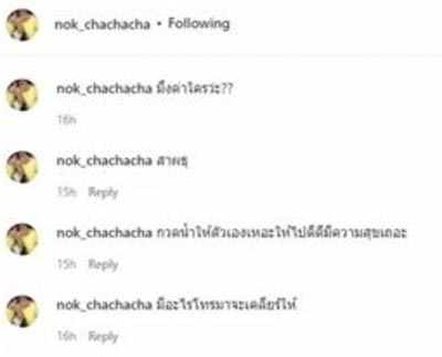 นก เมีย โหน่ง ชะชะช่า