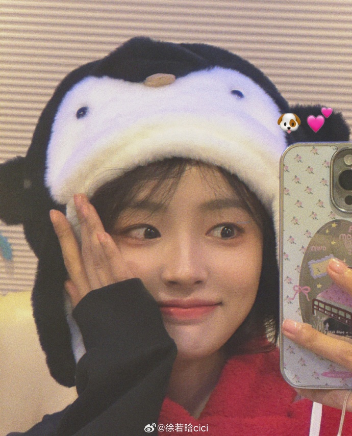 สวี่รั่วหาน ประวัติ xu ruohan