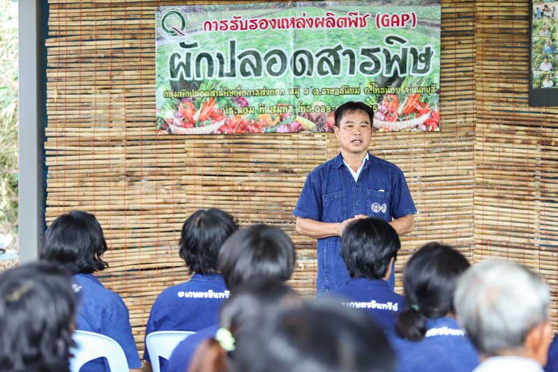 ผักสดเซเว่น