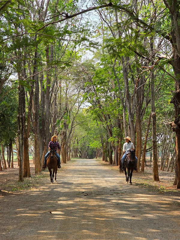 ปราบ บูลกุล