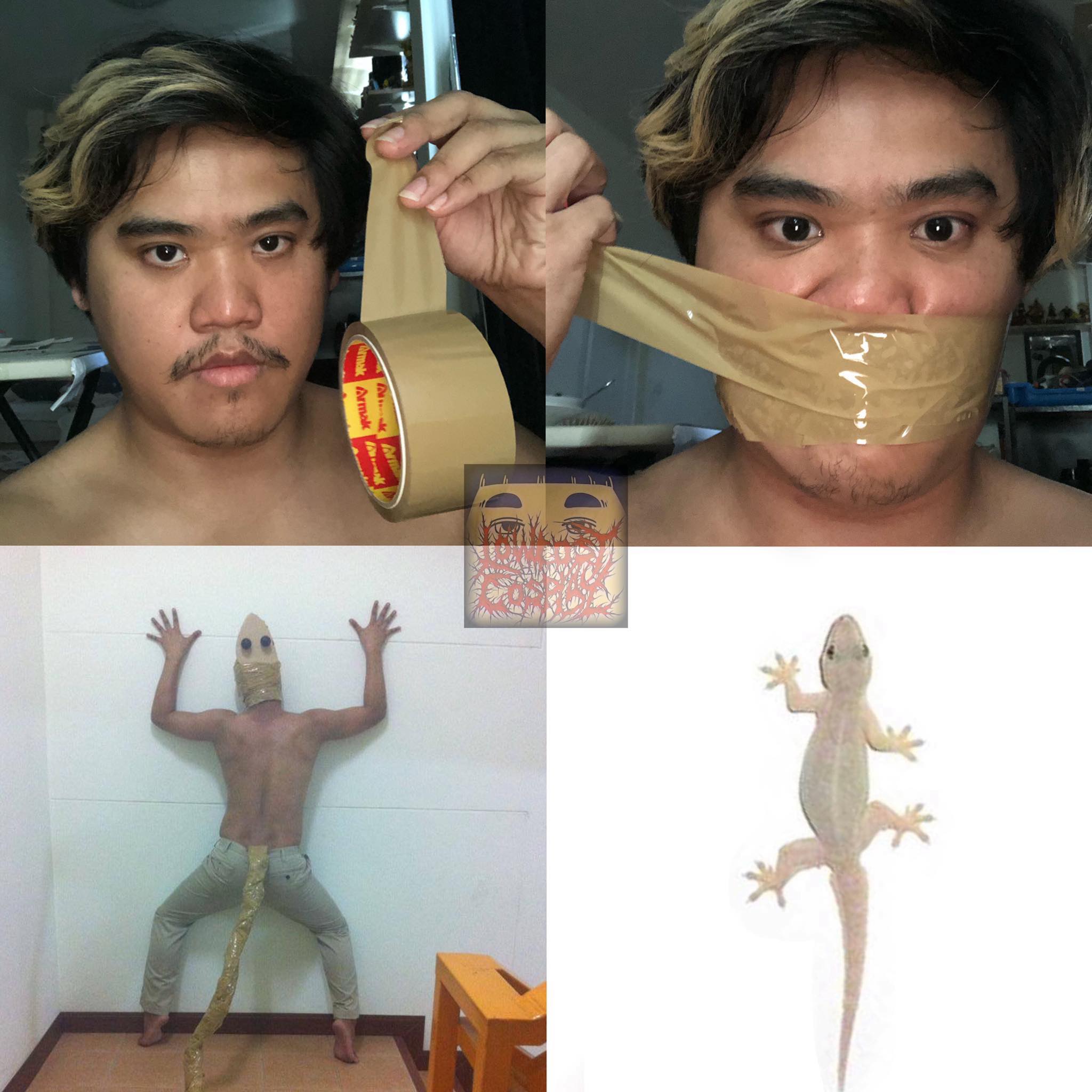 คอสเพลย์สัตว์โลกน่ารัก