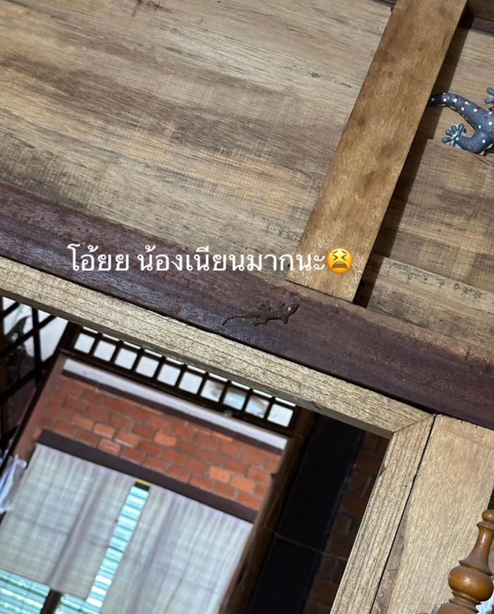 ตกแต่งบ้าน