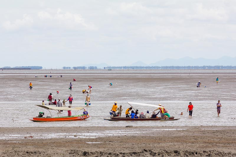 เที่ยวแม่กลอง