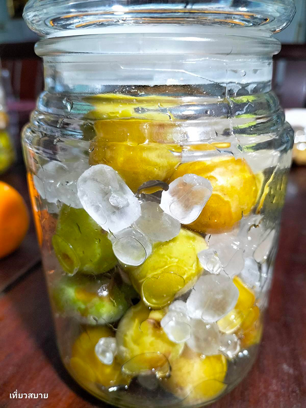 ไซรัปบ๊วย วิธีทำ Ume Syrup สูตรเครื่องดื่ม