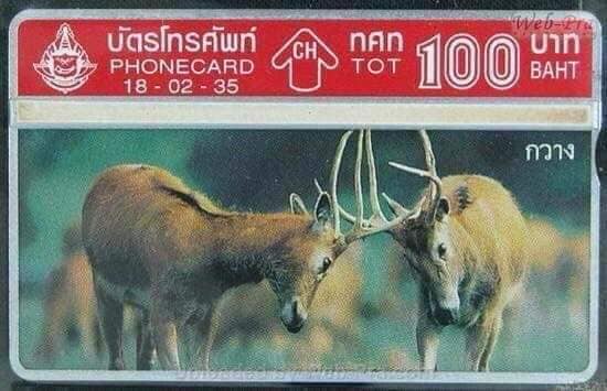 ความทรงจำในยุค 90