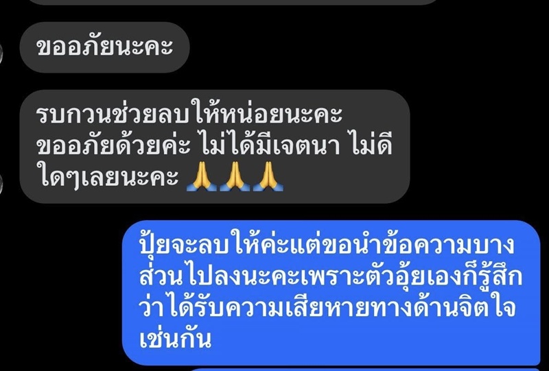 ปุ้มปุ้ย พรรณทิพา
