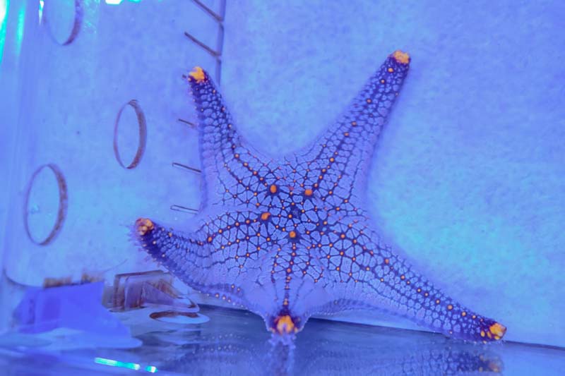 Aquarium สวนสัตว์เชียงใหม่ 