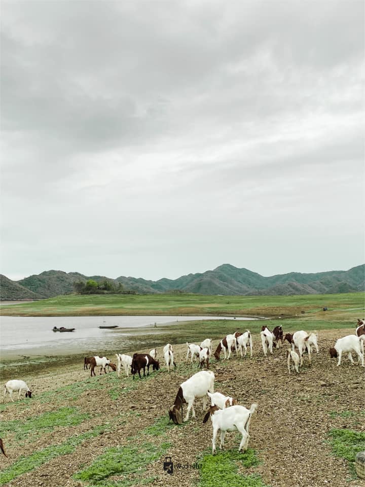 เขื่อนปราณบุรี