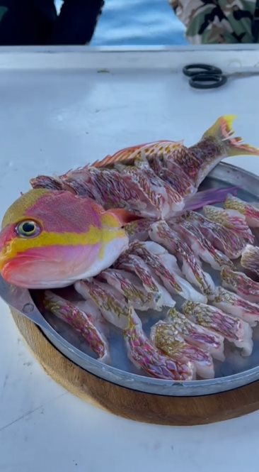 ดีเจภูมิ ภูมิใจ 