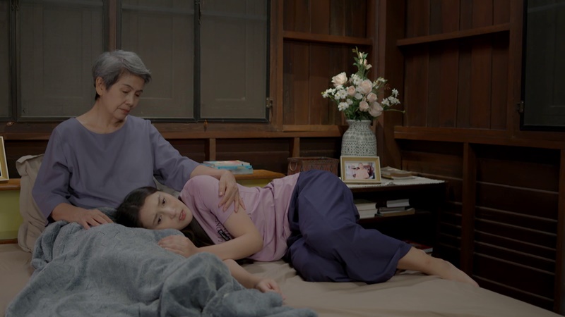 แผนรักหักคานลุง นักแสดง