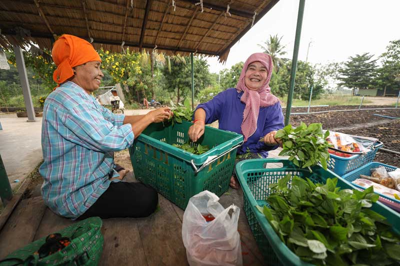 ผักสดเซเว่น