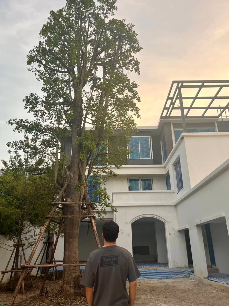 บ้านเต๋า สมชาย