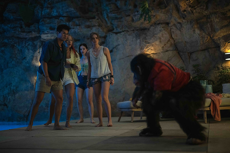 Primate - ลิงคลั่งพันธุ์ดิบ HBO Max แนะนำเนื้อหา เดือนสิงหาคม 2569